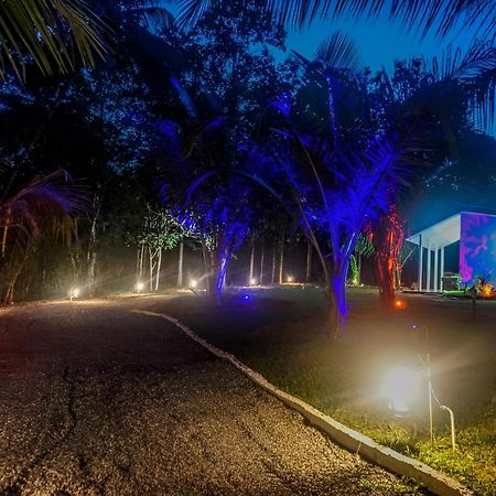 Little Ele Safari Lodge Udawalawe Εξωτερικό φωτογραφία