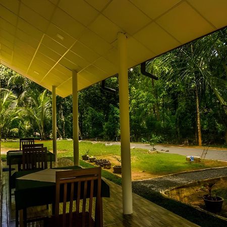 Little Ele Safari Lodge Udawalawe Εξωτερικό φωτογραφία